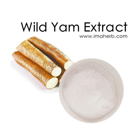 Wild Yam Extract, Dioscorease Rhizome Extract, Dioscin, Diosgenin, Yam ...