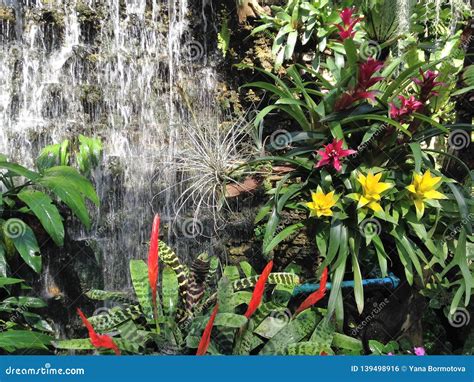 The Waterfall and Flowers in the Garden Stock Photo - Image of background, green: 139498916