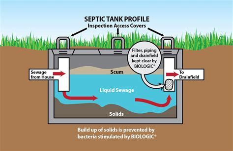 55 Gallon Drum Septic Tank Diagram