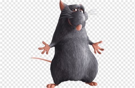 Django Ratatouille Anton Ego Animation, RATATUILLE, mammal, mouse, film ...