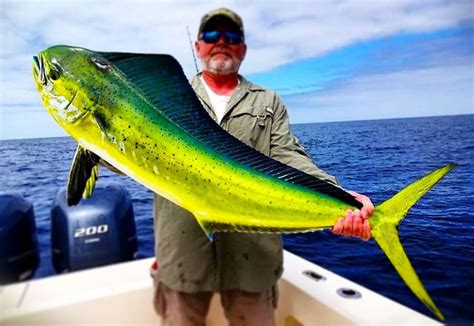 best mahi mahi recipes Fishing Life, Sport Fishing, Going Fishing, Best ...