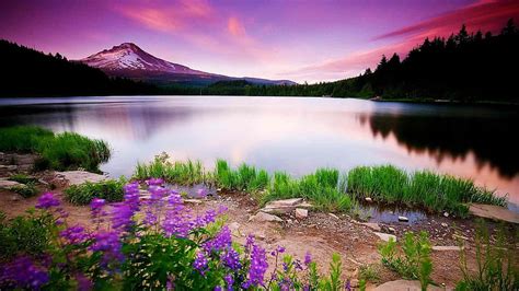 Nature Scenery, scenery, nature, HD wallpaper | Peakpx