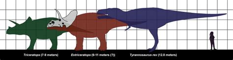 The longest and largest ceratopsians | DinoAnimals.com