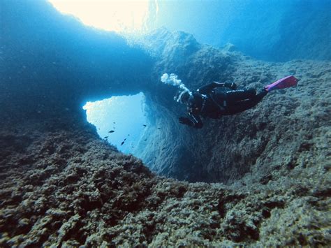 Dive Sites In Malta | Paradise Bay Reef | ABC Diving Malta