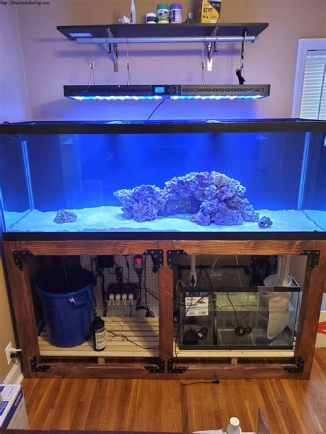 Bestof You: Best Diy 55 Gallon Aquarium Stand 30 Neat Check It Out Now!