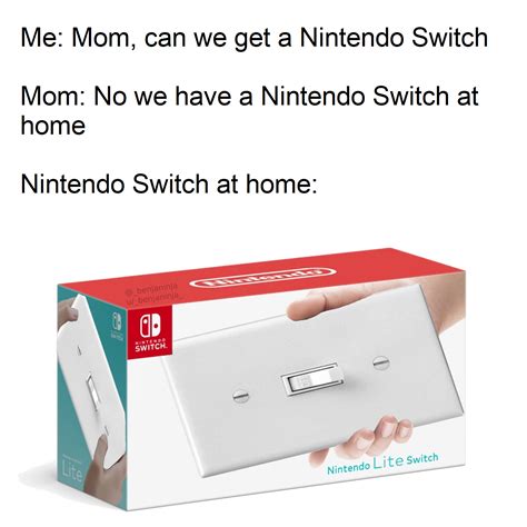 Nintendo Lite Switch : r/memes