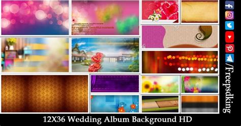 317 Hd Photo Background Free Download Images - MyWeb