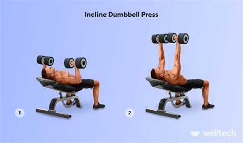 Best Inner Chest Exercises For Powerful Pecs