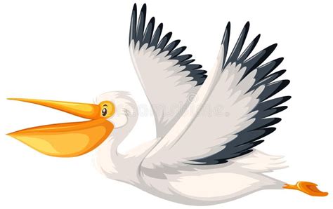 Pelican Flying Stock Illustrations – 645 Pelican Flying Stock ...