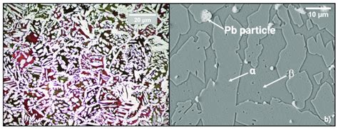 Brass microstructure observed with an optical microscope and polarized... | Download Scientific ...