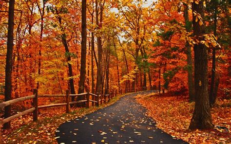 Autumn Fall Road Wallpapers - Wallpaper Cave