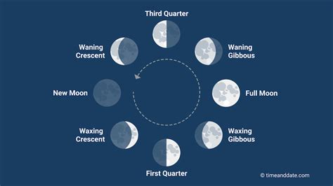 Quarter moon or a half moon? | Moon Phases | EarthSky