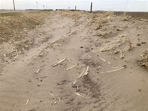 Using Emergency Tillage to Control Wind Erosion | CropWatch | University of Nebraska–Lincoln