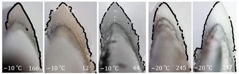 Aerospace | Free Full-Text | Ice Accretion: Image Post-Processing ...