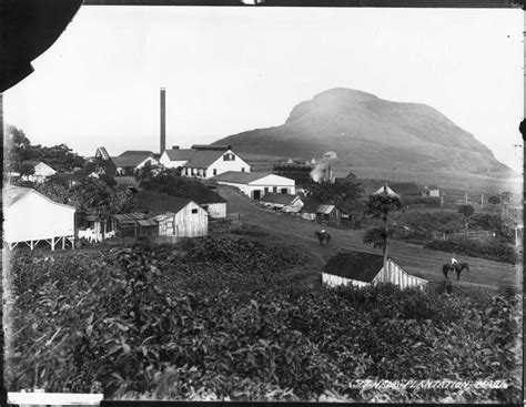 Plantation Camps | Images of Old Hawaiʻi