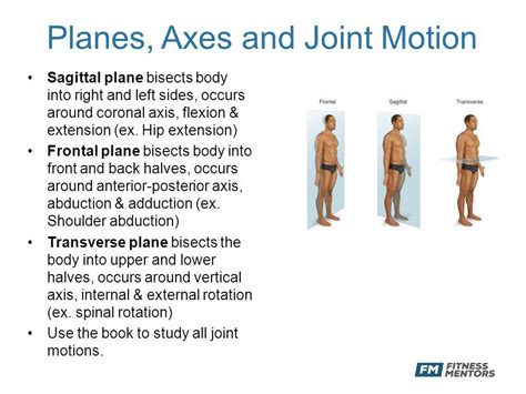 Planes & Axes of motion | Human anatomy and physiology, Human body anatomy, Body anatomy