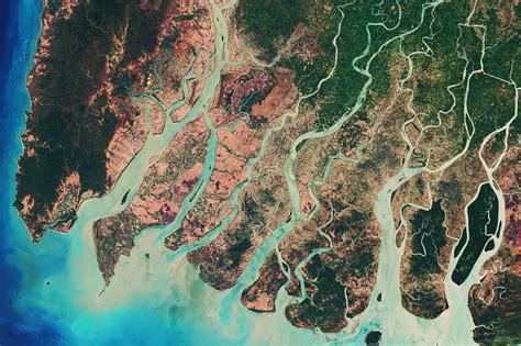 What is a River Delta? - The Knowledge Library