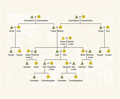 FREE 9+ Sample Kinship Diagram Templates in PDF | MS Word