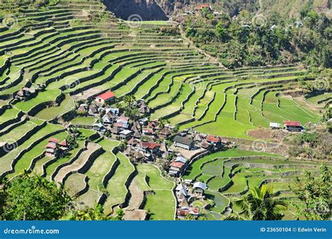 Batad Rice Terraces Stock Images - Image: 23650104