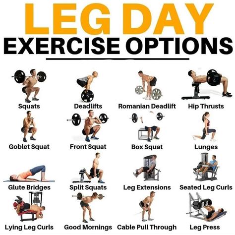 Leg Day Options | Gym workouts for men, Weight training workouts, Gym ...