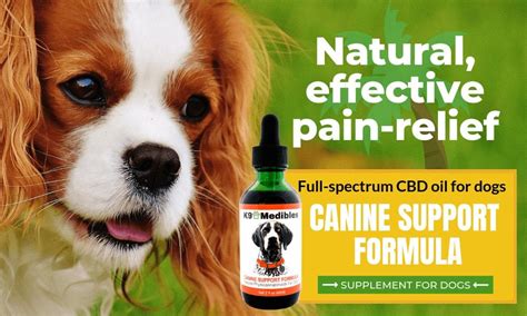 Dog Joint Supplements - How To Treat Joint Pain In Dogs