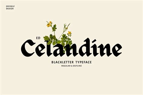 ED Celandine Font Free Download - Fontaza