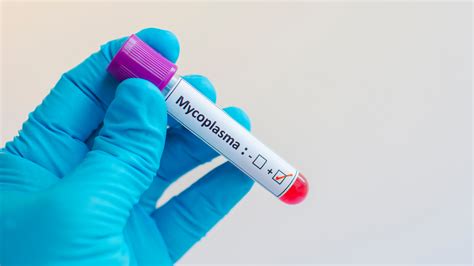 Mycoplasma Testing (Culture Method & PCR Method) - Hylabs