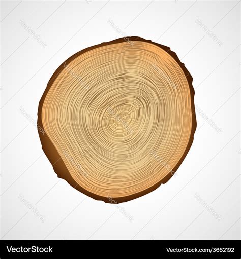 Wood texture of cutted tree trunk Royalty Free Vector Image