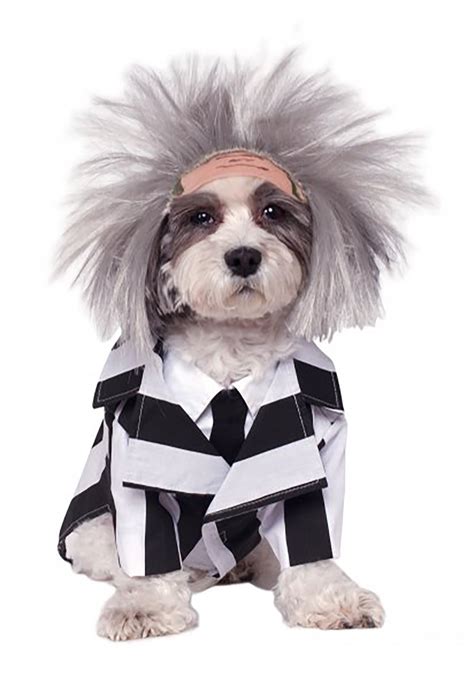 Beetlejuice Pet Costume | Pet Movie Halloween Costumes