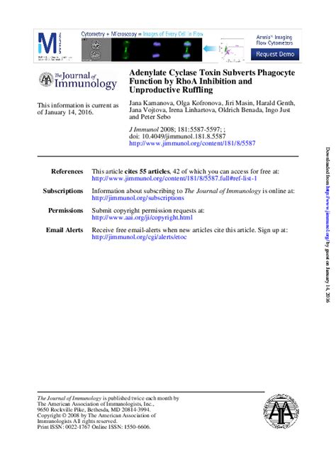 (PDF) Adenylate Cyclase Toxin Subverts Phagocyte Function by RhoA Inhibition and Unproductive ...