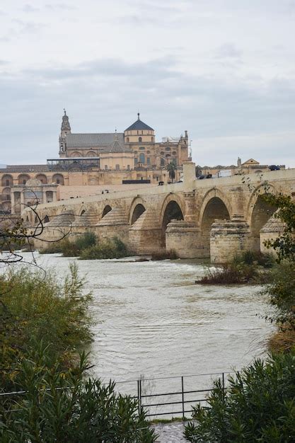 Premium Photo | Roman bridge over the guadalquivir and mesquite in cordoba