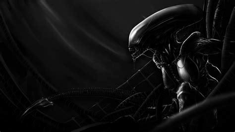 Female Xenomorph by HaryosoRiyadhi on DeviantArt