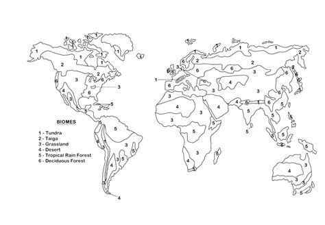 World Biome Map Coloring Worksheet - Abhayjere.com