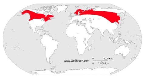 Moose Location Map