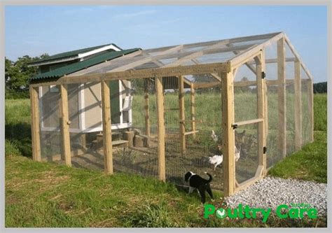 10 Free Chicken Run Plans & Ideas That Are Easy to Build (100% Free) | Chickens backyard ...