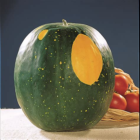 Growing the Biggest, Juiciest Melons | Charleston SC | Charleston Magazine