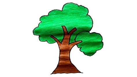 How To Draw a Tree very easy - YouTube