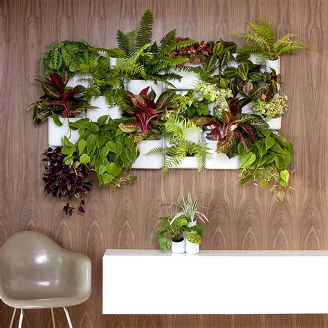 Vertical Goodness: 10 DIY Living Walls Kits for Green Living | Decoist