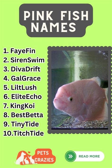 350+ Pink Fish Names (Explore Vibrant Ocean Wonders)