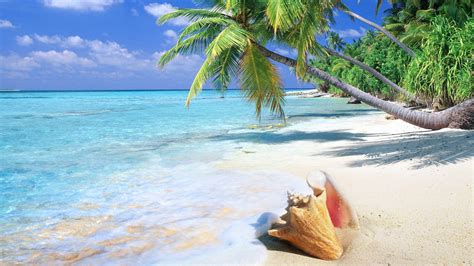 Tropical Beach Wallpapers - Top Free Tropical Beach Backgrounds - WallpaperAccess