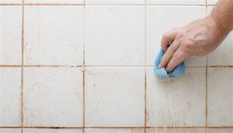 How to Clean Mold in Shower Grout: Tips and Tricks | Certified Clean Care