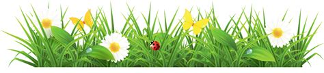 Grass ground with flowers clipart picture 0 - Cliparting.com