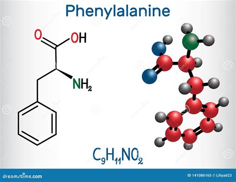 Phenylalanine Is An Amino Acid. Chemical Molecular Formula Phenylalanine Amino Acid. Vector ...