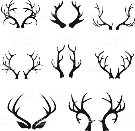 Elk Antler Vector at Vectorified.com | Collection of Elk Antler Vector ...