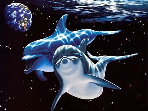 3D Dolphin Wallpaper - WallpaperSafari