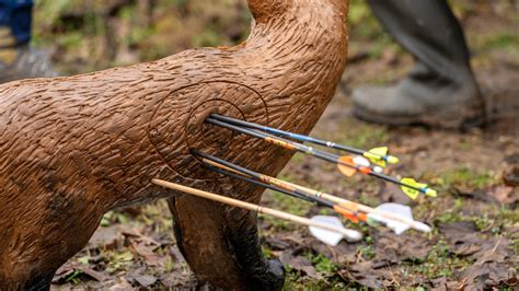 7 Best Broadhead Archery Targets