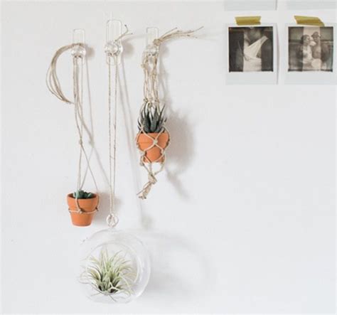 Unique Hook In Ceiling For Plant Basket Planter With Legs