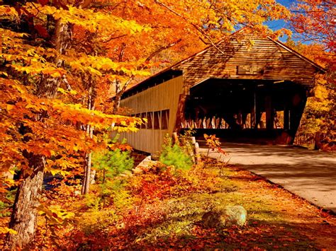 Autumn Covered Bridge Wallpaper - WallpaperSafari