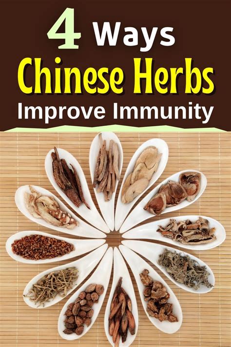 4 Ways Chinese Herbs Boost Immunity