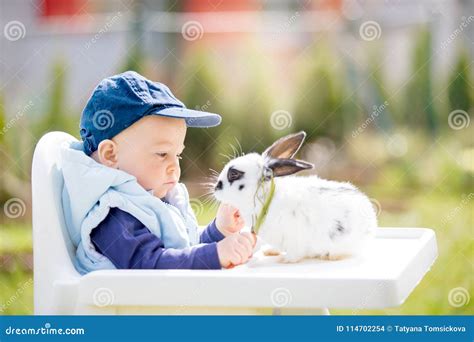 Cute Little Baby Boy, Child Feeding Little Bunny with Carrots Stock ...